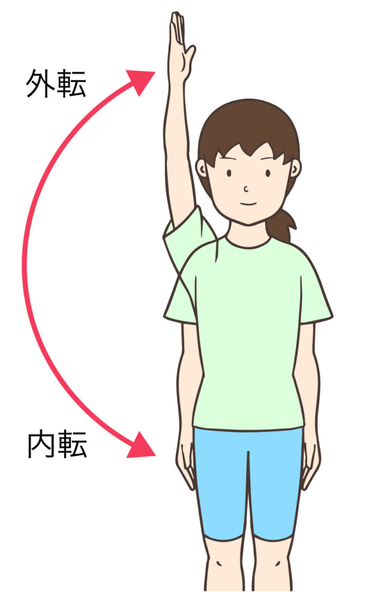 肋骨を動かして肩の動きや浅い呼吸を改善していきましょう! - ちねん整骨院の院長ブログ